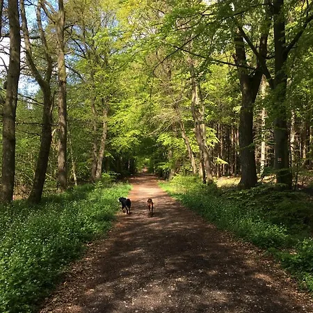 Gemuetliche Im Luftkurort Appartamento Albersdorf (Dithmarschen)