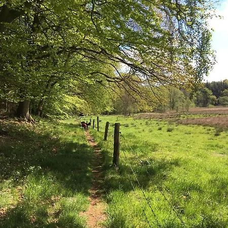 Gemuetliche Im Luftkurort Albersdorf (Dithmarschen)